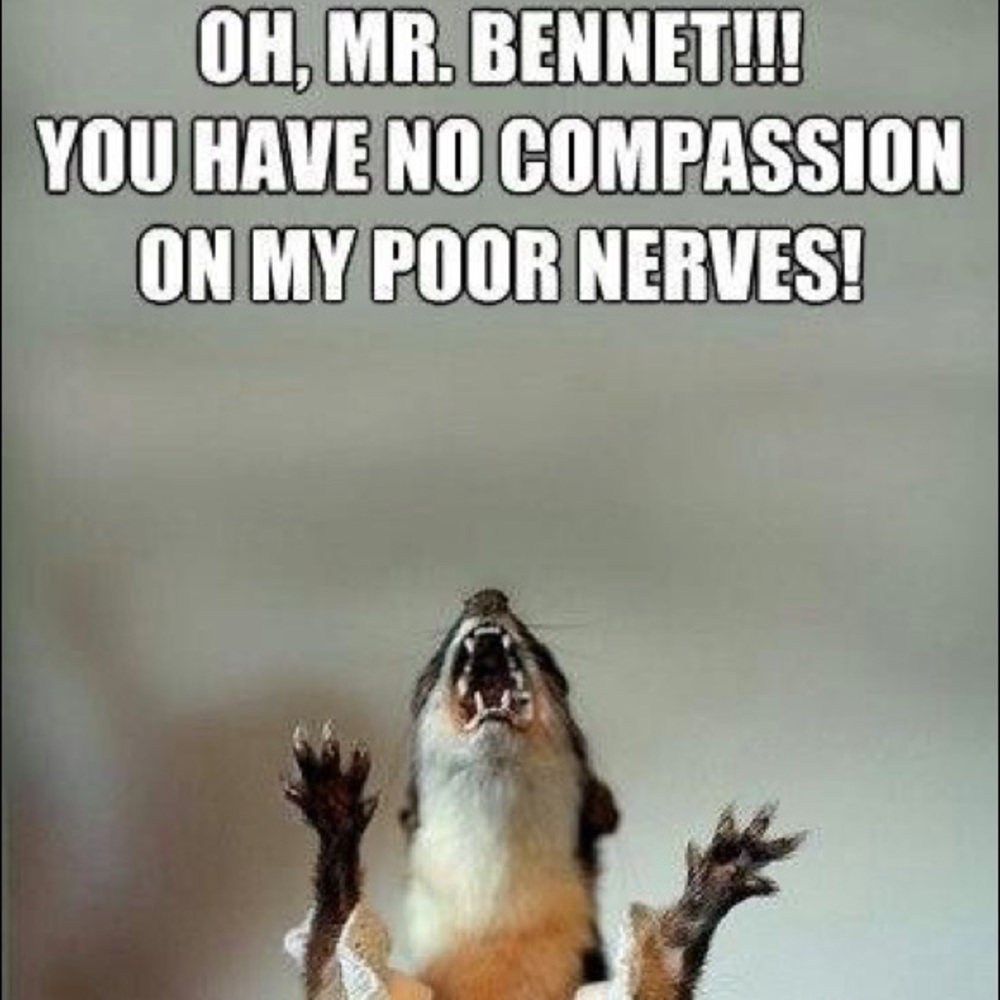 Meet your Posher, Abby